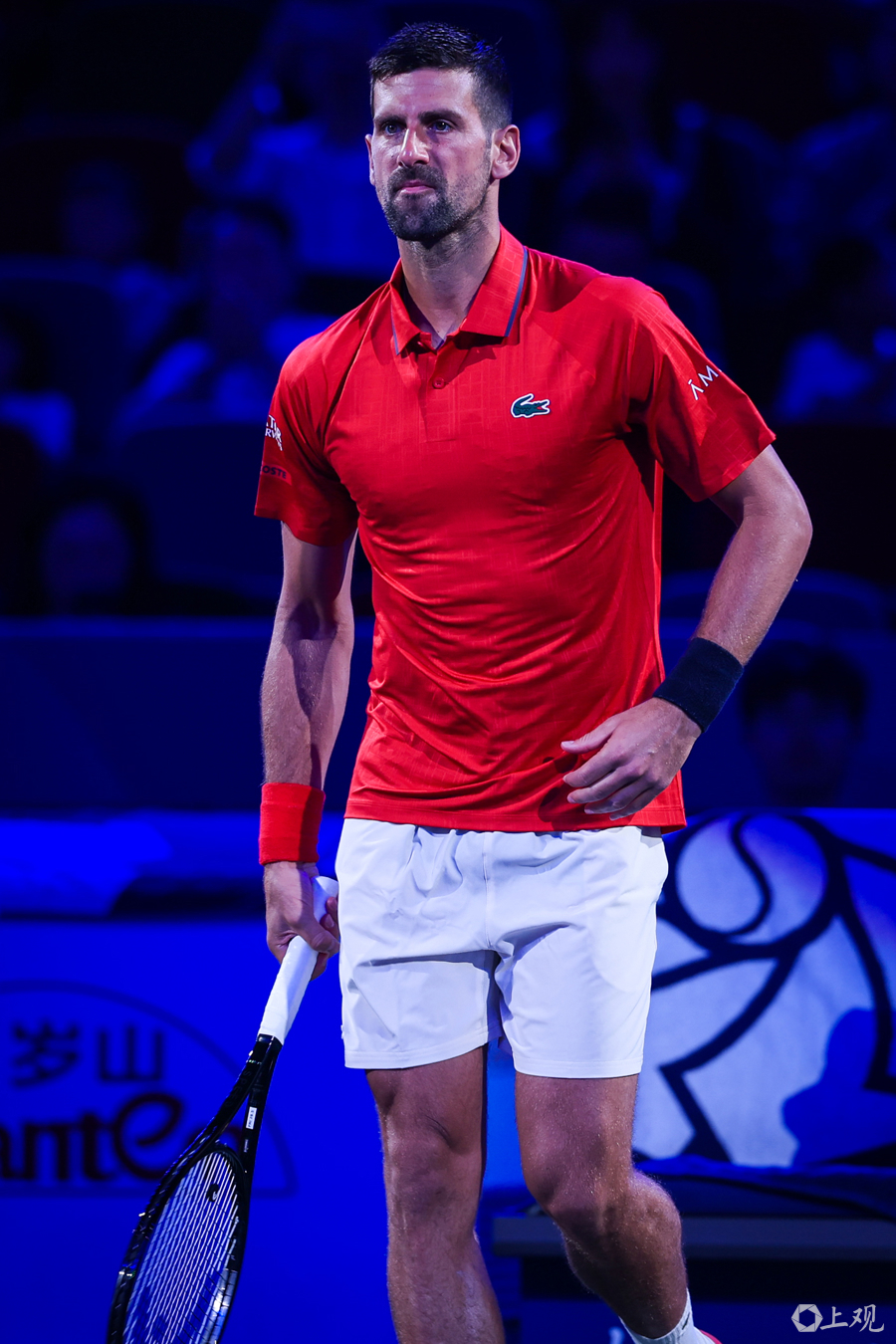 美网绝杀蒙特卡洛大师赛，德约科维奇高光表现